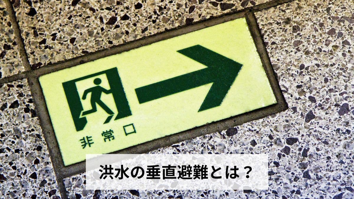 洪水の垂直避難とは？水平避難との違い・判断基準・正しい方法・注意点を徹底解説【2026年最新版】
