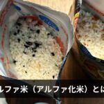 アルファ米(アルファ化米)とは?非常食・防災食としての仕組み・作り方・おすすめ商品【2026年版】