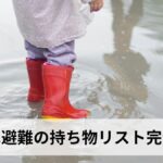洪水避難の持ち物リスト完全版【2026年最新】非常持ち出し袋の中身・優先順位・注意点を徹底解説