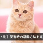 【ペット別】災害時の避難方法を完全解説｜犬・猫・鳥・うさぎ・小動物・爬虫類ごとの備え・同行避難のルール・備蓄リスト2026年版