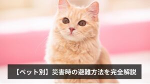 【ペット別】災害時の避難方法を完全解説｜犬・猫・鳥・うさぎ・小動物・爬虫類ごとの備え・同行避難のルール・備蓄リスト2026年版
