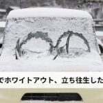 【実体験】吹雪でホワイトアウト、立ち往生したら？原因・対処法・車内備えを徹底解説