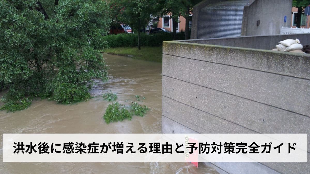 洪水後に感染症が増える理由と予防対策完全ガイド