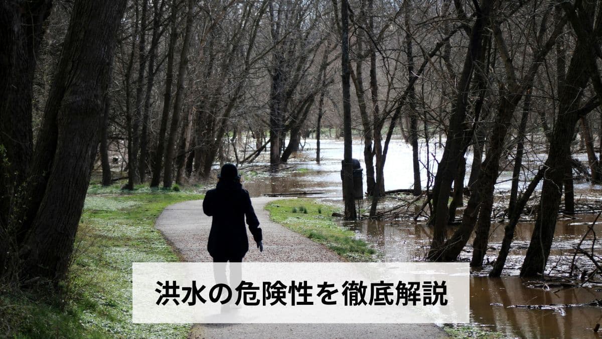 洪水の危険性を徹底解説｜命・建物・健康・財産へのリスクと被害の実態【2026年最新版】