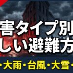 災害タイプ別の正しい避難方法【地震・大雨・台風・大雪・停電対応版】