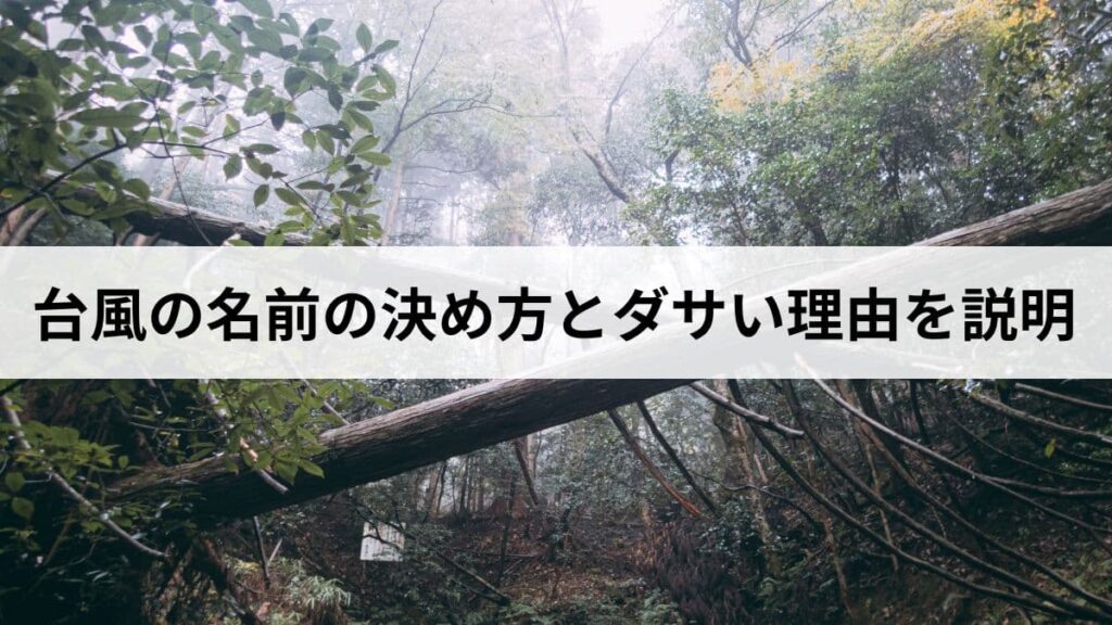 台風の名前の決め方とダサいと言われる理由をわかりやすく説明します