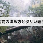 台風の名前の決め方とダサいと言われる理由をわかりやすく説明します