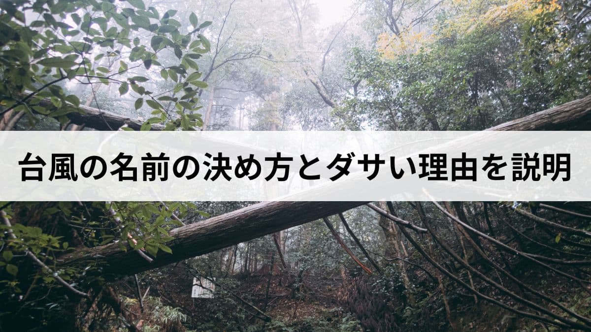 台風の名前の決め方とダサいと言われる理由をわかりやすく説明します