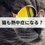 猫も熱中症になる？症状の見分け方と応急処置、病院に行く目安を解説