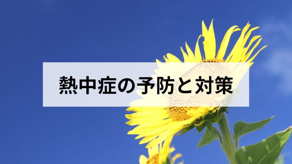 熱中症の予防と対策【2026年版】原因・症状・応急処置・高齢者・子ども別の注意点を完全解説