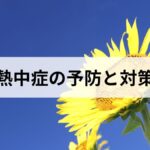 熱中症の予防と対策【2026年版】原因・症状・応急処置・高齢者・子ども別の注意点を完全解説