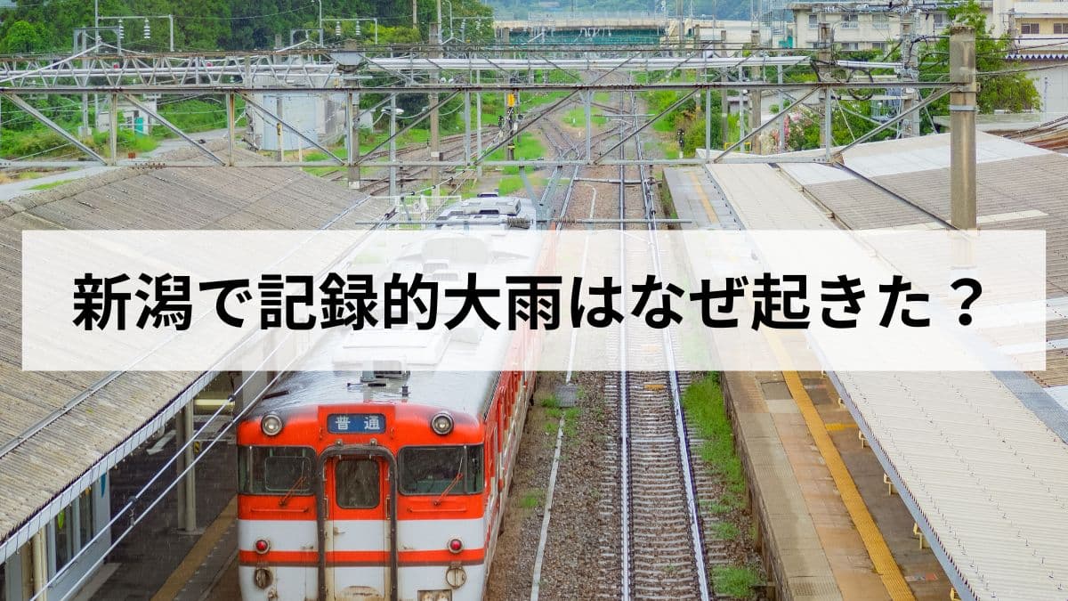 【土砂災害危険警報】新潟で記録的大雨はなぜ起きた？現在の状況と今すぐできる備えを解説