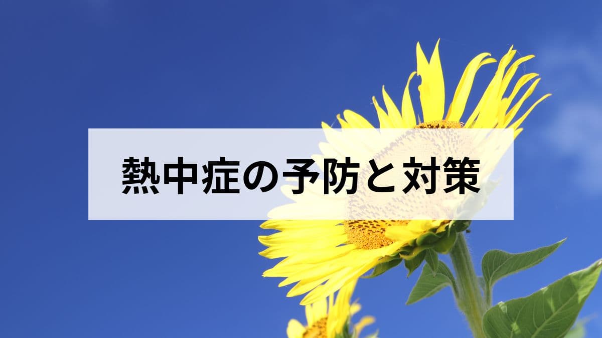 熱中症の予防と対策【2026年版】原因・症状・応急処置・高齢者・子ども別の注意点を完全解説
