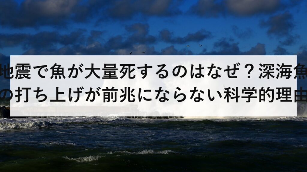 地震で魚が大量死するのはなぜ？深海魚の打ち上げが前兆にならない科学的理由