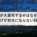 地震で魚が大量死するのはなぜ？深海魚の打ち上げが前兆にならない科学的理由
