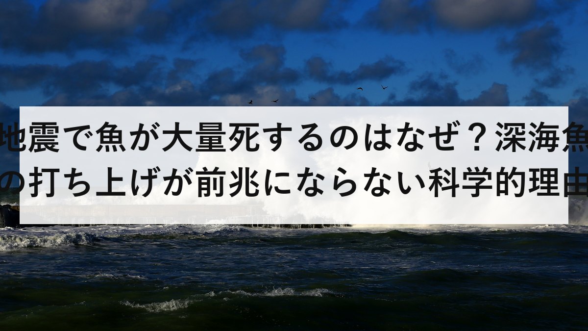 地震で魚が大量死するのはなぜ？深海魚の打ち上げが前兆にならない科学的理由