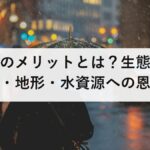 洪水のメリットとは?生態系・農業・地形・水資源への恩恵を科学的に解説|デメリット・リスクとの正しいバランスの取り方