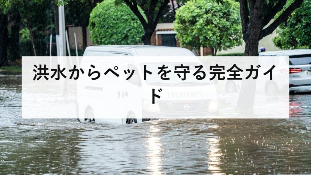 洪水からペットを守る完全ガイド｜避難前・避難中・避難後にすべきこと・準備・同行避難の注意点【2026年最新版】