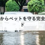 洪水からペットを守る完全ガイド｜避難前・避難中・避難後にすべきこと・準備・同行避難の注意点【2026年最新版】