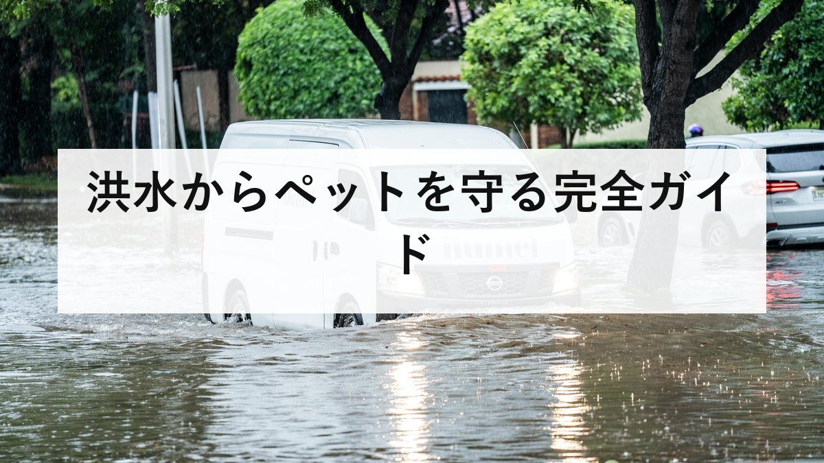 洪水からペットを守る完全ガイド|避難前・避難中・避難後にすべきこと・準備・同行避難の注意点【2026年最新版】
