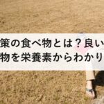熱中症対策の食べ物とは？良い食べ物・悪い食べ物を栄養素からわかりやすく解説