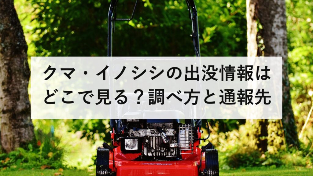 クマ・イノシシの出没情報はどこで見る？調べ方と通報先｜伝えるのは4つだけ