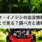 クマ・イノシシの出没情報はどこで見る?調べ方と通報先|伝えるのは4つだけ