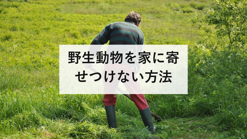 野生動物を家に寄せつけない方法｜柵より先にやるべき費用0円の5つ