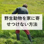 野生動物を家に寄せつけない方法|柵より先にやるべき費用0円の5つ