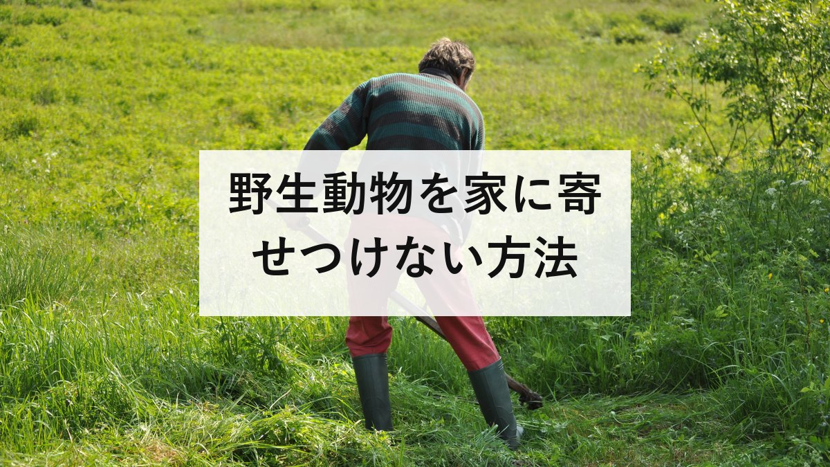 野生動物を家に寄せつけない方法|柵より先にやるべき費用0円の5つ