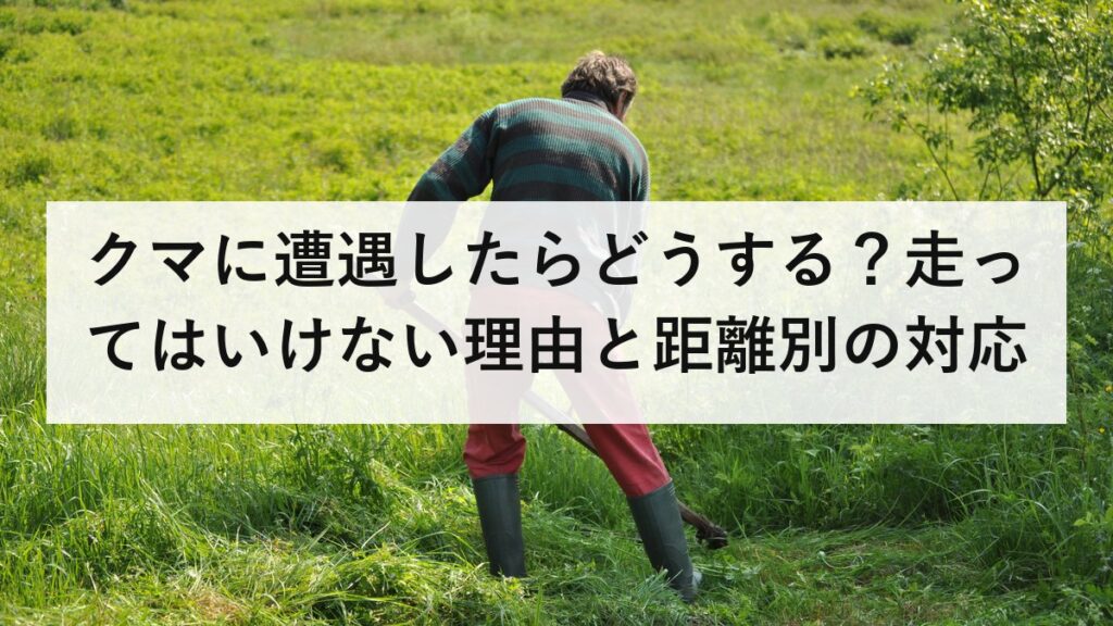 クマに遭遇したらどうする？走ってはいけない理由と距離別の対応｜2025年度は被害238人・死者13人で過去最多