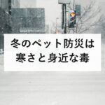 冬のペット防災は寒さと身近な毒