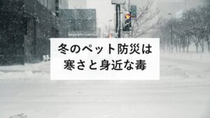 冬のペット防災は寒さと身近な毒