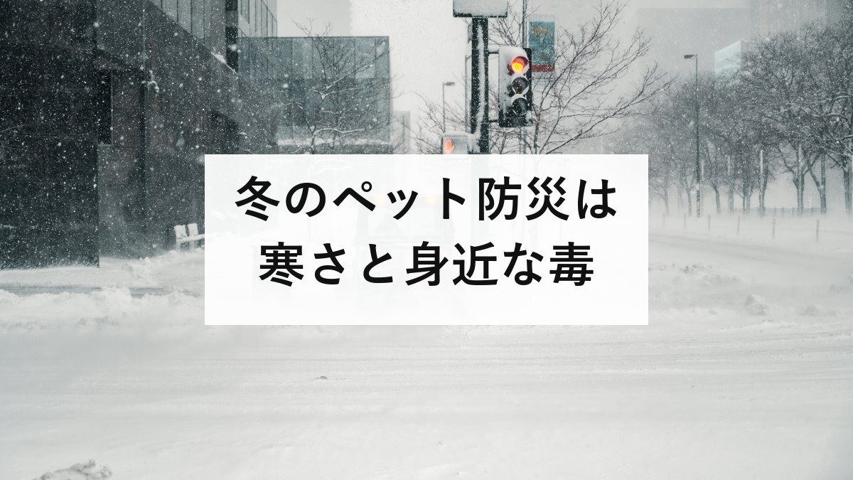 冬のペット防災は寒さと身近な毒