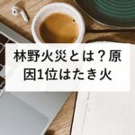 林野火災とは？原因1位はたき火｜乾燥注意報・実効湿度・飛び火の仕組みを防災士が解説【2026年最新】