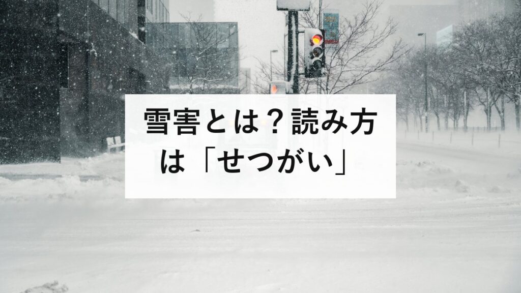 雪害とは？読み方は「せつがい」｜除雪の死者は9割超が65歳以上です