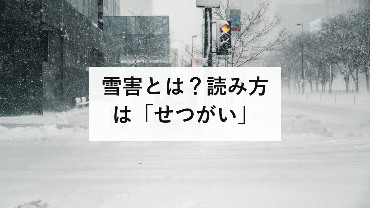 雪害とは？読み方は「せつがい」｜除雪の死者は9割超が65歳以上です