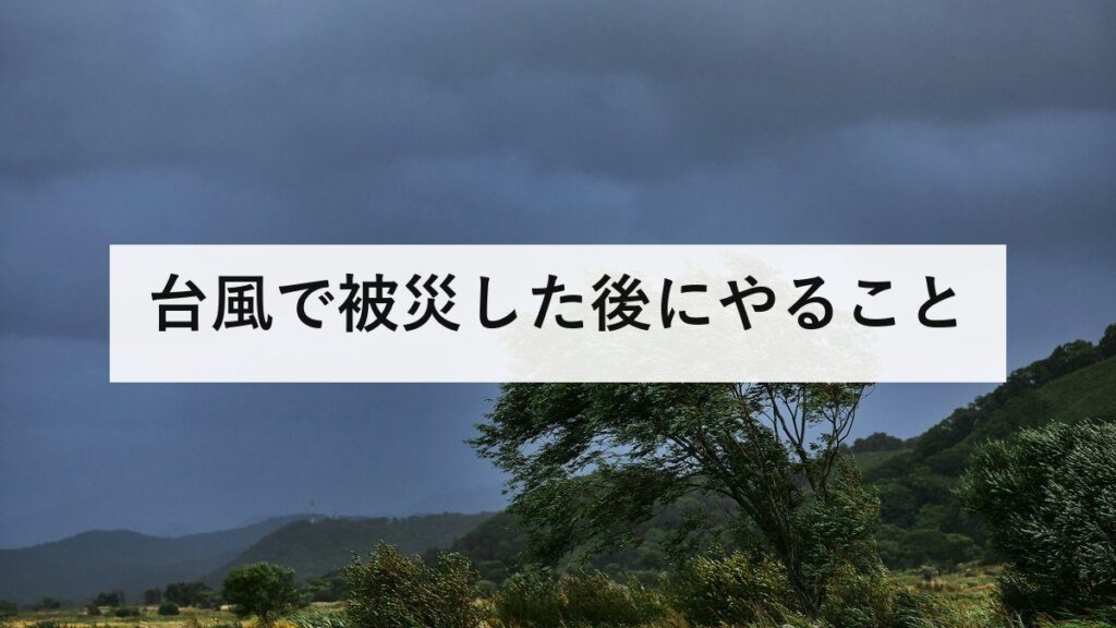 台風で被災した後にやること｜屋根に登らない理由と修理業者トラブルの防ぎ方