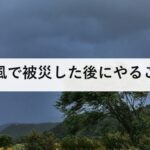 台風で被災した後にやること｜屋根に登らない理由と修理業者トラブルの防ぎ方