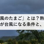 「台風のたまご」とは？熱帯低気圧が台風になる条件と、米軍・ヨーロッパの進路予想をどう見るか