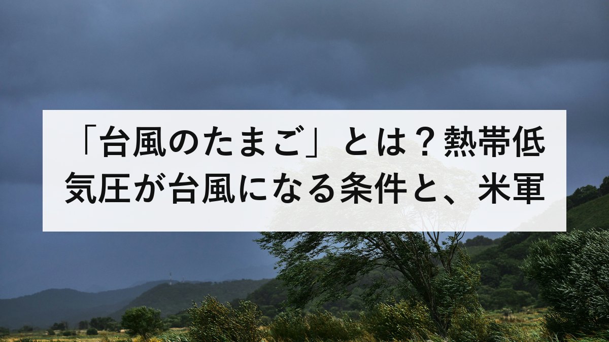 「台風のたまご」とは?熱帯低気圧が台風になる条件と、米軍・ヨーロッパの進路予想をどう見るか