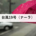 台風19号（ナーラ）｜トンキン湾で停滞が続く。日本への影響はありません