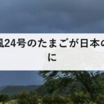 台風24号のたまごが日本の南に｜のちにクロヴァンとなり沖縄へ、22号と23号は消滅