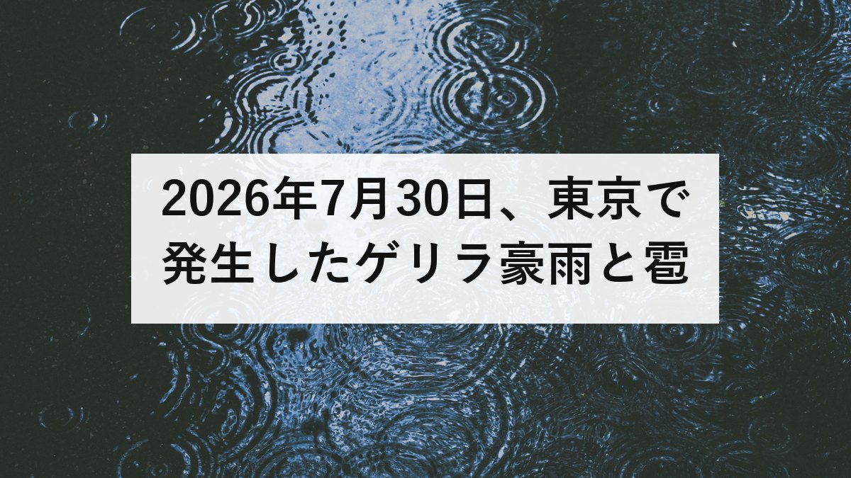 2026年7月30日、東京で発生したゲリラ豪雨と雹｜警報のタイムラインと今後の備え