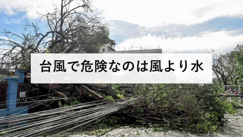 台風で危険なのは風より水｜伊勢湾台風の死者5098人と高潮3.55m、吸い上げ効果と吹き寄せ効果の仕組みを防災士が解説